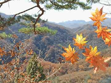 黃大仙一肖一碼100準2025澳門,林高遠稱會扛起家的責任預測分析解釋定義_版章70.29.31