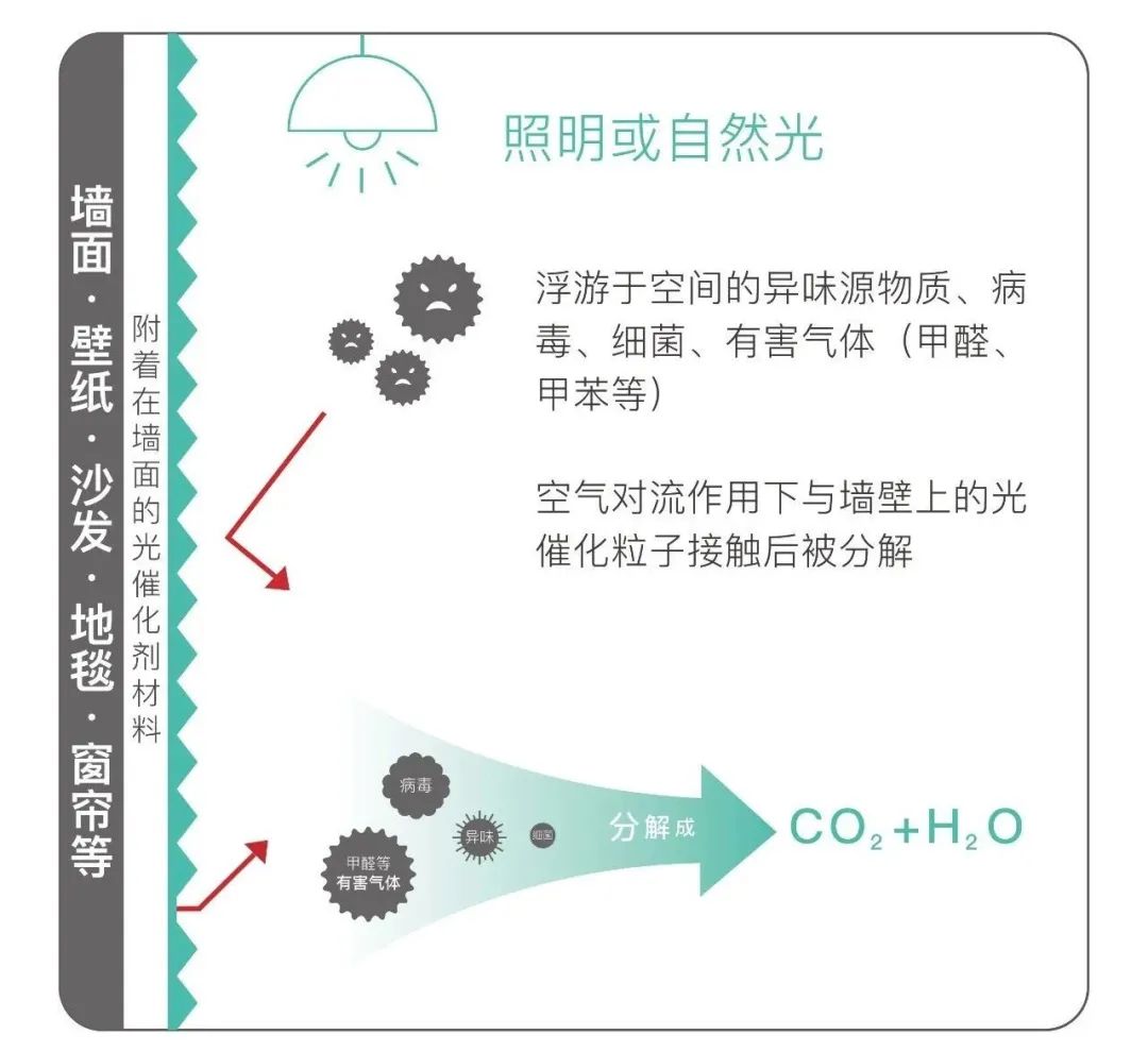 光觸媒噴涂后注意事項,光觸媒噴涂后的注意事項與創新解析執行_創意版 59.40.68,實地驗證方案策略_神版17.97.42