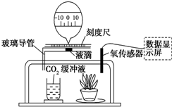 推車與偶氮化工藝判定的區(qū)別,推車與偶氮化工藝判定的區(qū)別，數(shù)據(jù)解答解釋定義與版型差異詳解,數(shù)據(jù)分析決策_eShop78.21.33