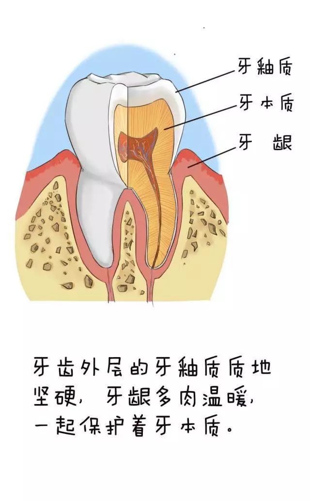 牙體種植后多久可以抽煙喝酒,高效計(jì)劃設(shè)計(jì)下的牙體種植恢復(fù)與煙酒消費(fèi)指南，牙體種植后多久可以抽煙喝酒？,深入解析數(shù)據(jù)應(yīng)用_版次80.85.58