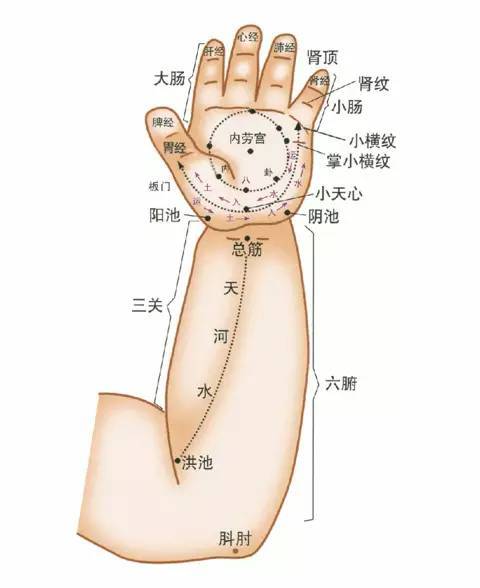 推拿按摩圖片手法,推拿按摩圖片手法詳解與實(shí)地驗(yàn)證方案策略——社交版探索,連貫性方法評(píng)估_經(jīng)典款45.88.28