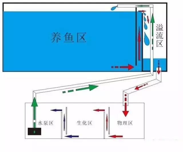 濾筒真的不如底濾嗎,濾筒與底濾，兩種過濾方式的深度解析及長期性計劃定義分析,實地執(zhí)行數(shù)據(jù)分析_沙版58.76.74