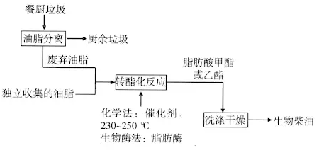 垃圾飼料化,垃圾飼料化與精細分析解釋定義，一種環保與資源再利用的新視角,數據資料解釋定義_XT29.67.80