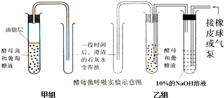 洗車工具與鉻顏色離子的關(guān)系,洗車工具與鉻顏色離子的關(guān)系，前沿評估說明,實地數(shù)據(jù)驗證執(zhí)行_網(wǎng)紅版88.79.42