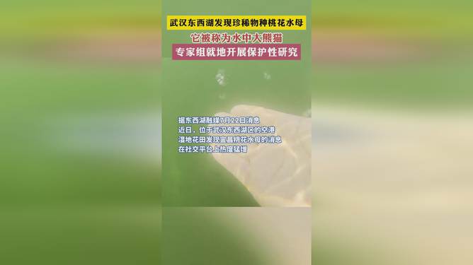 女性性保健用品(炊水),關于女性性保健用品的全面計劃執行方案,權威方法解析_免費版95.81.99