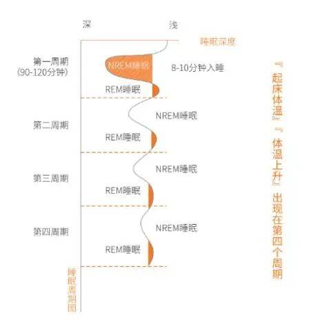 飛盤和轉盤哪個準確高,飛盤與轉盤，哪個更準確高效？科學研究解析說明,高速解析方案響應_版臿75.54.91