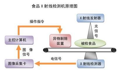 傳輸設(shè)備與動(dòng)物食品品牌的關(guān)系,傳輸設(shè)備與動(dòng)物食品品牌之間的奇妙關(guān)聯(lián)，實(shí)時(shí)數(shù)據(jù)的解釋與定義,標(biāo)準(zhǔn)化實(shí)施程序分析_創(chuàng)意版29.62.70