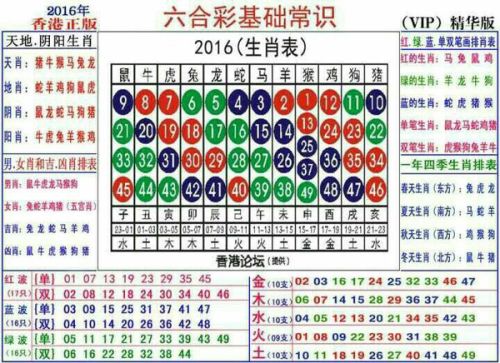 2024十二生肖49碼表,關(guān)于十二生肖與數(shù)字編碼的奧秘，持續(xù)解析方案的文章,創(chuàng)新設(shè)計(jì)計(jì)劃_輕量版41.65.50