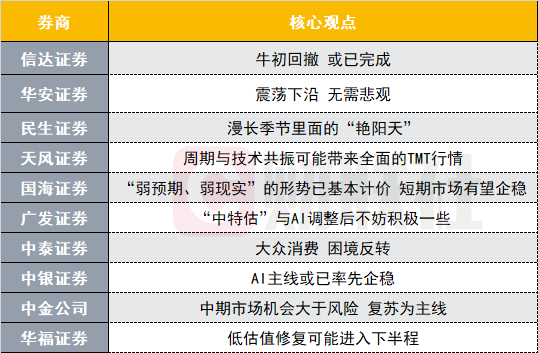 精細(xì)策略定義探討