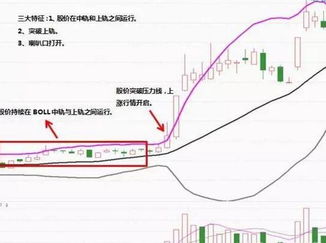 新澳門彩號