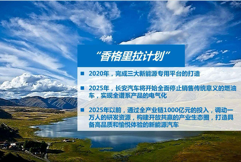 自駕游阿姨2025年第一站想去西沙