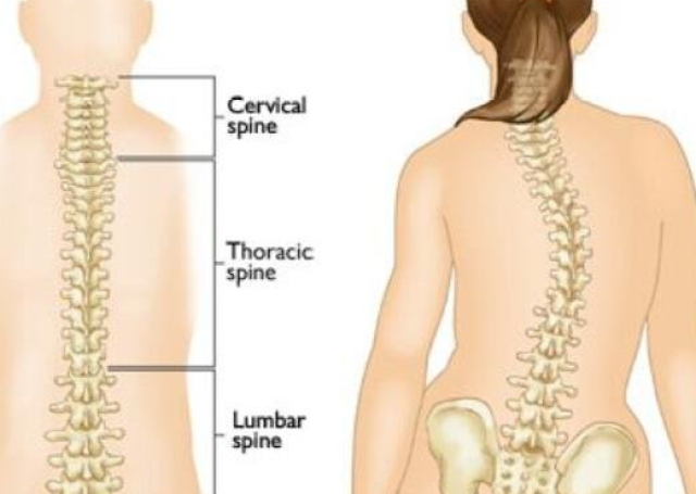 如何自測孩子是否脊柱側(cè)彎