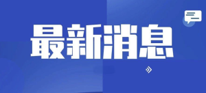 公安網安|凈網2024取得顯著成效