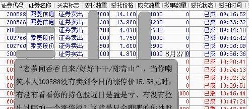 紅姐免費(fèi)公開資料大全,深入數(shù)據(jù)策略設(shè)計(jì)_擴(kuò)展版22.35.32