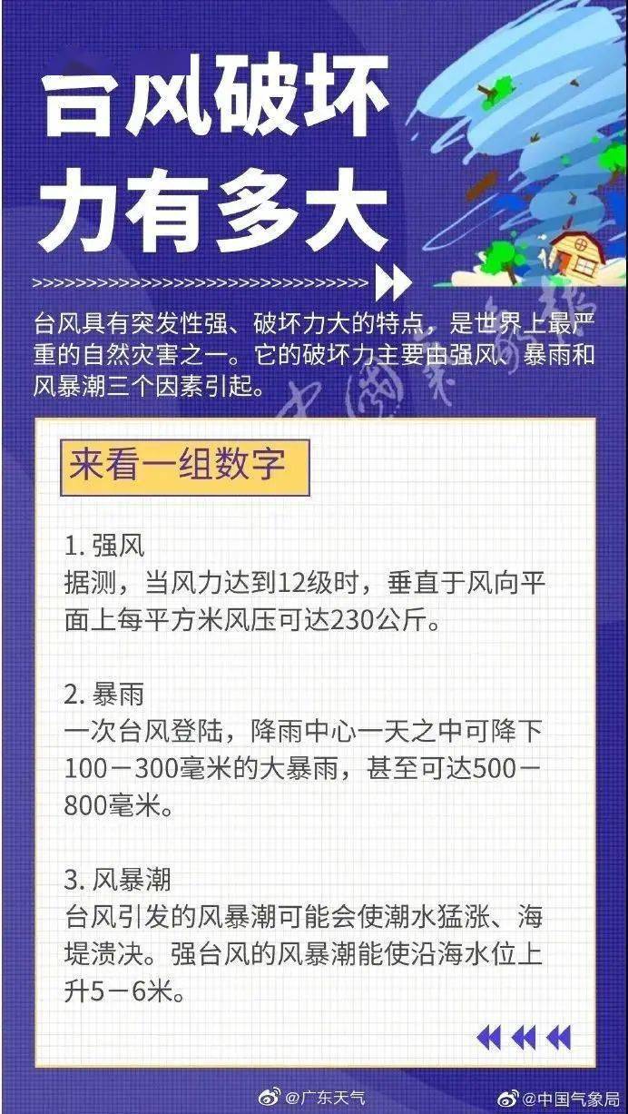 澳門2025精準資料全年免費,高速響應策略_凸版印刷92.60.89