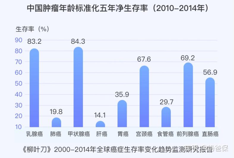 2025新奧精準資料免費大全078期,專業分析說明_靜態版44.62.99