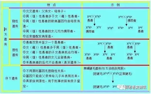 全面設計實施策略