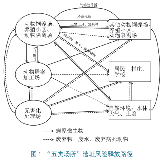 2025年是什么動物,完整機制評估_小版32.32.34