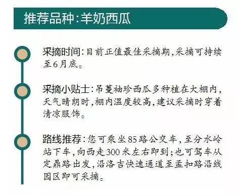 今天特馬開什么肖是哪個號,一鍵開啟開工模式