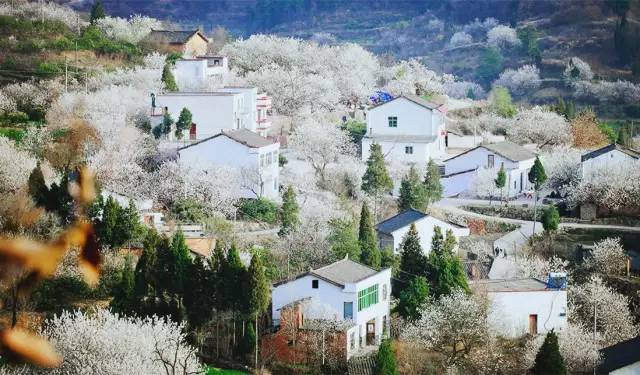 八百圖片,兩岸旅游能否春暖花開？國臺辦回應