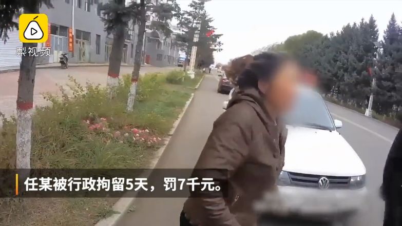 新澳彩資料免費長期公開五十期,女婿回丈母娘家動手劈柴“翻車”