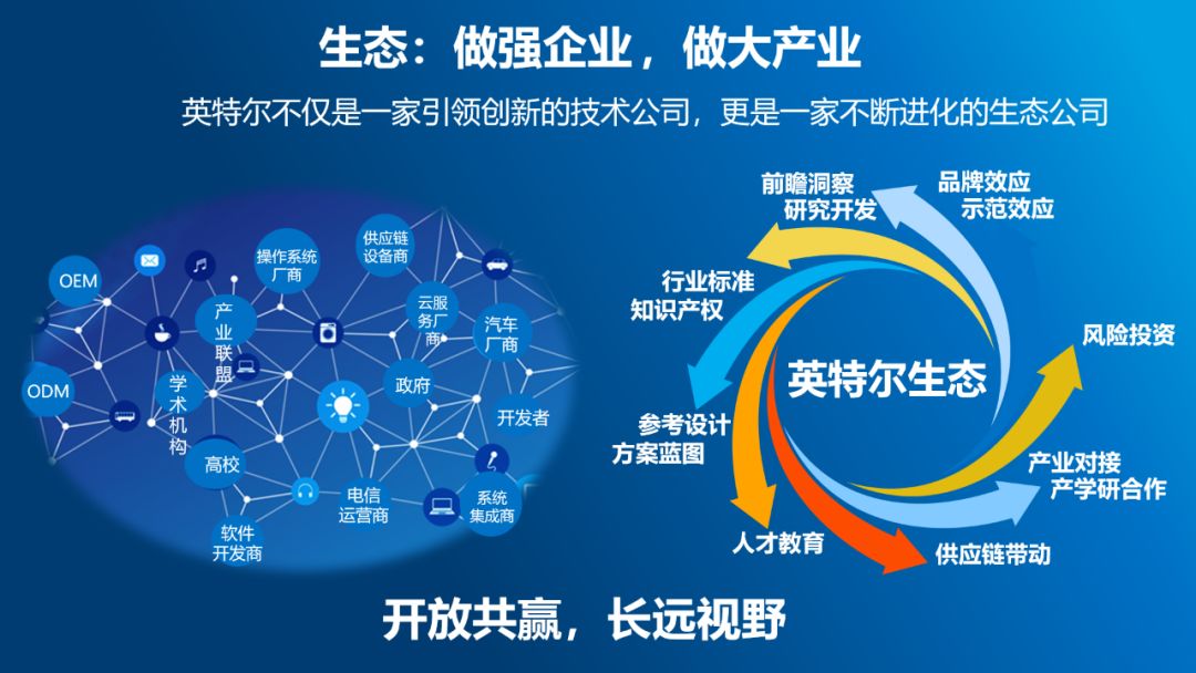 2025年3月6日 第8頁