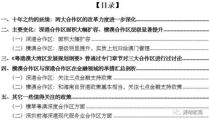 新澳2025正版資料大全與精細化策略定義的探討，實踐分析解釋定義_4DM66.32.35